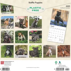 2025 Calendars|BrownTrout 2025 Staffordshire Bull Terriers Puppies 12" x 12" Monthly Square Wall Calendar (9781975475741)