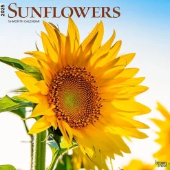 2025 Calendars|BrownTrout 2025 Sunflowers 12" x 12" Monthly Square Wall Calendar (9781975477837)