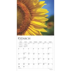 2025 Calendars|BrownTrout 2025 Sunflowers 12