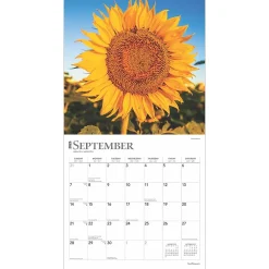 2025 Calendars|BrownTrout 2025 Sunflowers 12