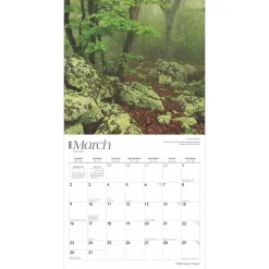 2025 Calendars|BrownTrout 2025 Virginia Wild & Scenic 12