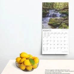 2025 Calendars|BrownTrout 2025 West Virginia Wild & Scenic 12