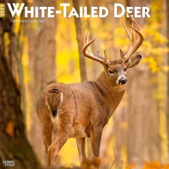 2025 Calendars|BrownTrout 2025 White Tailed Deer 12" x 12" Monthly Wall Calendar (9781975477998)