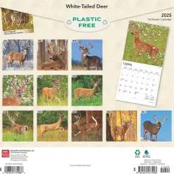 2025 Calendars|BrownTrout 2025 White Tailed Deer 12" x 12" Monthly Wall Calendar (9781975477998)