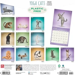 2025 Calendars|BrownTrout 2025 Yoga Cats 12" x 24" Monthly Square Wall Calendar, (9781975479862)
