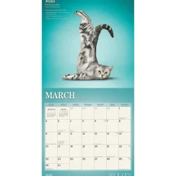 2025 Calendars|BrownTrout 2025 Yoga Cats 12