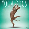 2025 Calendars|BrownTrout 2025 Yoga Dogs 12" x 12" Monthly Wall Calendar (9781975479879)