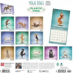 2025 Calendars|BrownTrout 2025 Yoga Dogs 12" x 12" Monthly Wall Calendar (9781975479879)