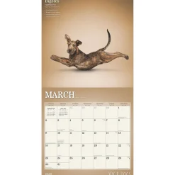 2025 Calendars|BrownTrout 2025 Yoga Dogs 12