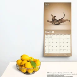 2025 Calendars|BrownTrout 2025 Yoga Dogs 12