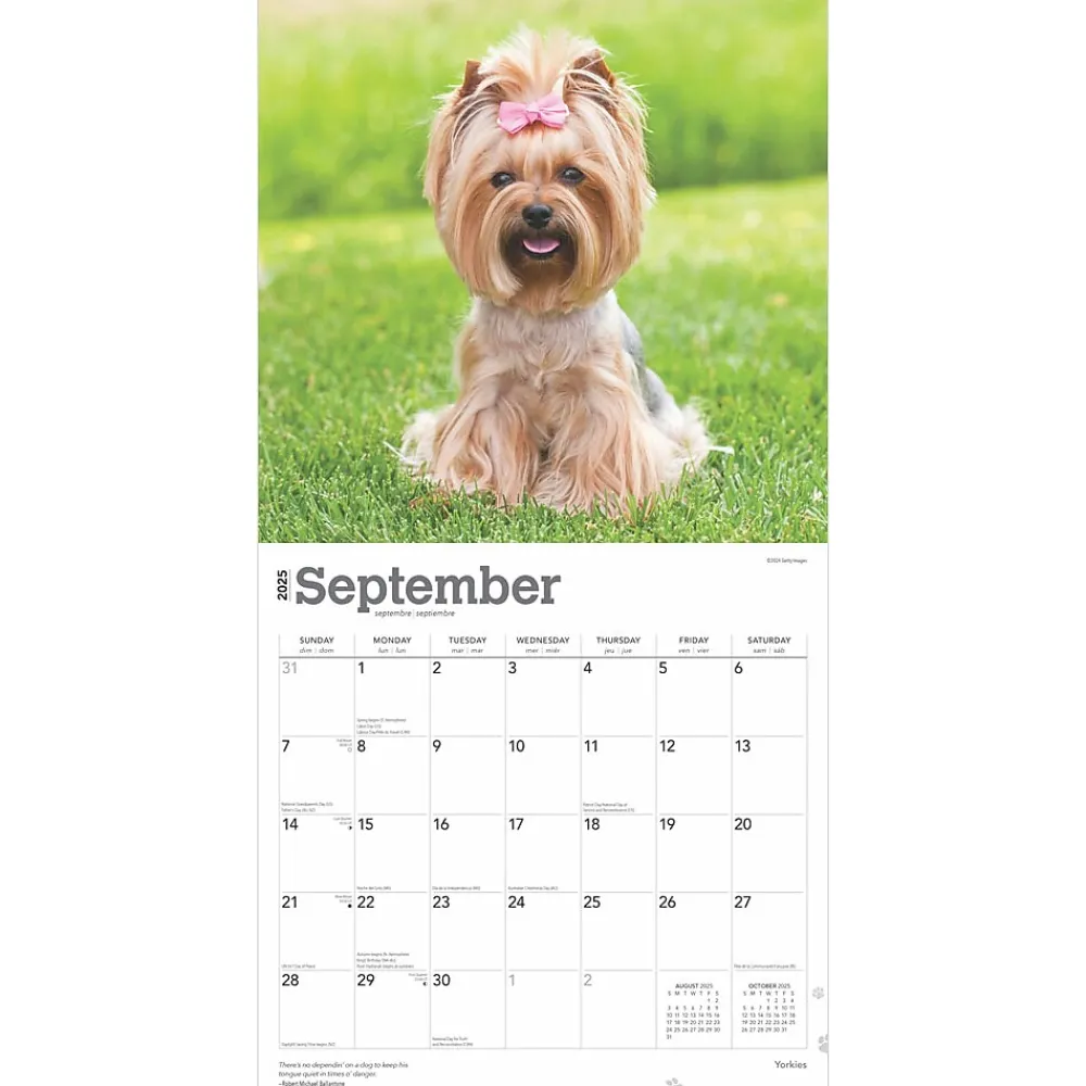 2025 Calendars|BrownTrout 2025 Yorkshire Terriers 12" x 12" Monthly Wall Calendar (9781975478001)