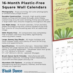 2025 Calendars|BrownTrout 2025 Brush Dance A Fearless Woman 12