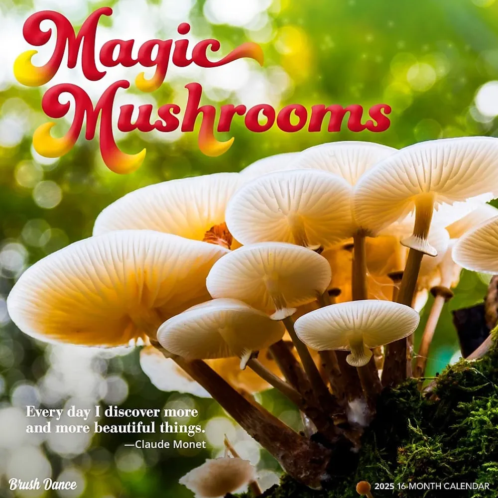 2025 Calendars|Brush Dance 2025 Magic Mushrooms 12" x 12" Monthly Square Wall Calendar (9781975478698)