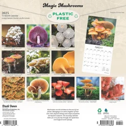 2025 Calendars|Brush Dance 2025 Magic Mushrooms 12" x 12" Monthly Square Wall Calendar (9781975478698)
