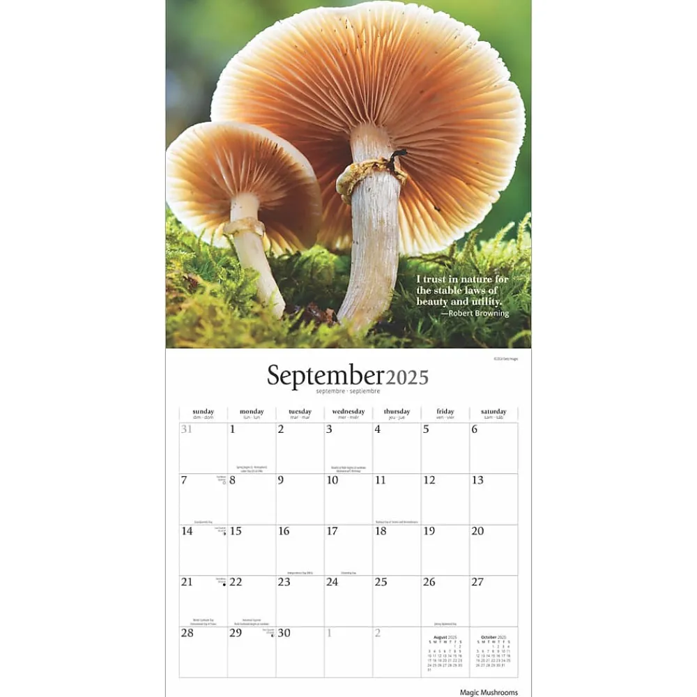 2025 Calendars|Brush Dance 2025 Magic Mushrooms 12" x 12" Monthly Square Wall Calendar (9781975478698)