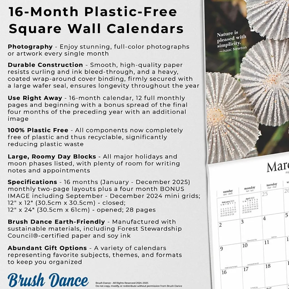 2025 Calendars|Brush Dance 2025 Magic Mushrooms 12" x 12" Monthly Square Wall Calendar (9781975478698)