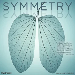 2025 Calendars|BrownTrout 2025 Brush Dance Symmetry 12" x 12" Monthly Wall Calendar (9781975481445)