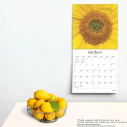 2025 Calendars|BrownTrout 2025 Brush Dance Symmetry 12