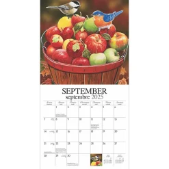 2025 Calendars|Hopper Studios 2025 Feathered Friends Amis a Plumes 12