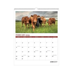 2025 Calendars|House of Doolittle 2025 Farm Life 11