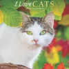 2025 Calendars|Plato 2025 I Love Cats 12" x 12" Monthly Wall Calendar (9781975478957)