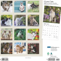 2025 Calendars|Plato 2025 I Love Cats 12" x 12" Monthly Wall Calendar (9781975478957)