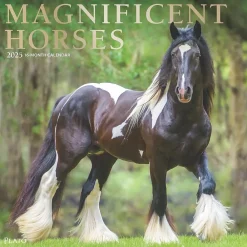 2025 Calendars|Plato 2025 Magnificent Horses 12" x 12" Monthly Square Wall Calendar (9781975478995)