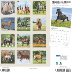 2025 Calendars|Plato 2025 Magnificent Horses 12" x 12" Monthly Square Wall Calendar (9781975478995)