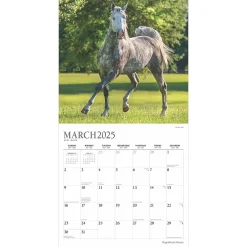 2025 Calendars|Plato 2025 Magnificent Horses 12