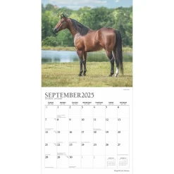 2025 Calendars|Plato 2025 Magnificent Horses 12