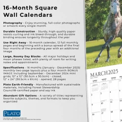 2025 Calendars|Plato 2025 Magnificent Horses 12