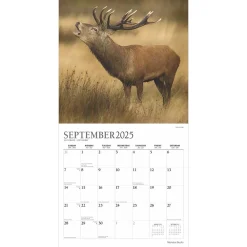 2025 Calendars|BrownTrout 2025 Plato Monster Bucks 12