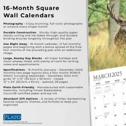 2025 Calendars|BrownTrout 2025 Plato Monster Bucks 12