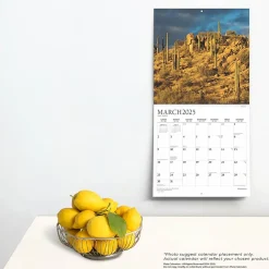 2025 Calendars|BrownTrout 2025 Plato Motivation 12