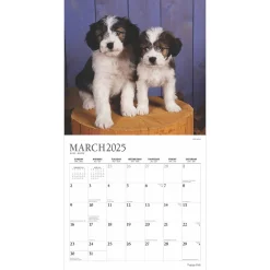 2025 Calendars|Plato 2025 Puppy Pals 12
