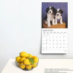 2025 Calendars|Plato 2025 Puppy Pals 12