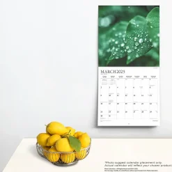 2025 Calendars|Plato 2025 Simplicity 12