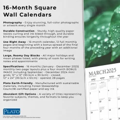 2025 Calendars|Plato 2025 Simplicity 12