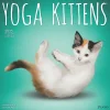 2025 Calendars|Plato 2025 Yoga Kittens 12" x 12" Monthly Wall Calendar (9781975480134)