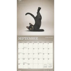 2025 Calendars|Plato 2025 Yoga Kittens 12