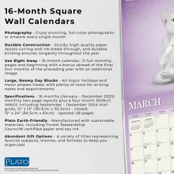 2025 Calendars|Plato 2025 Yoga Kittens 12
