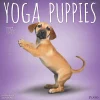 2025 Calendars|Plato 2025 Yoga Puppies 12" x 12" Monthly Wall Calendar (9781975480141)