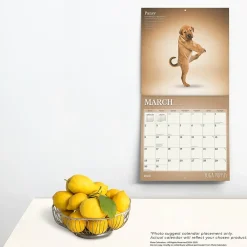 2025 Calendars|Plato 2025 Yoga Puppies 12