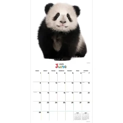 2025 Calendars|TF Publishing 2025 12