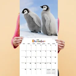 2025 Calendars|TF Publishing 2025 12