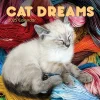 2025 Calendars|TF Publishing 2025 12" x 12" Cat Dreams Wall Calendar (25-1003)
