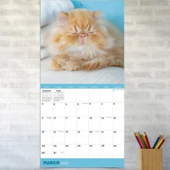 2025 Calendars|TF Publishing 2025 12