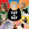 2025 Calendars|TF Publishing 2025 12" x 12" Cat-A-Day Wall Calendar (25-1002)
