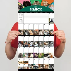 2025 Calendars|TF Publishing 2025 12