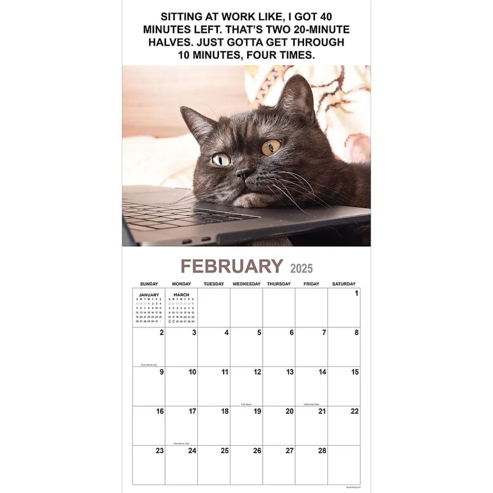 2025 Calendars|TF Publishing 2025 12" x 12" Corporate Cats Wall Calendar (25-1005)